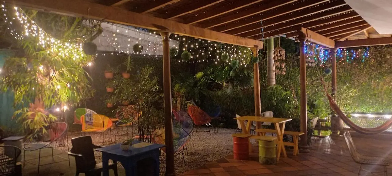 Yolo Hostel Medellin Colombia