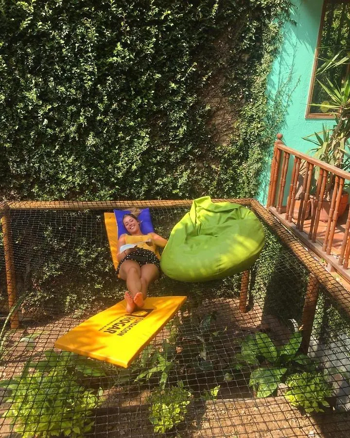 Yolo Hostel Medellin Colombia