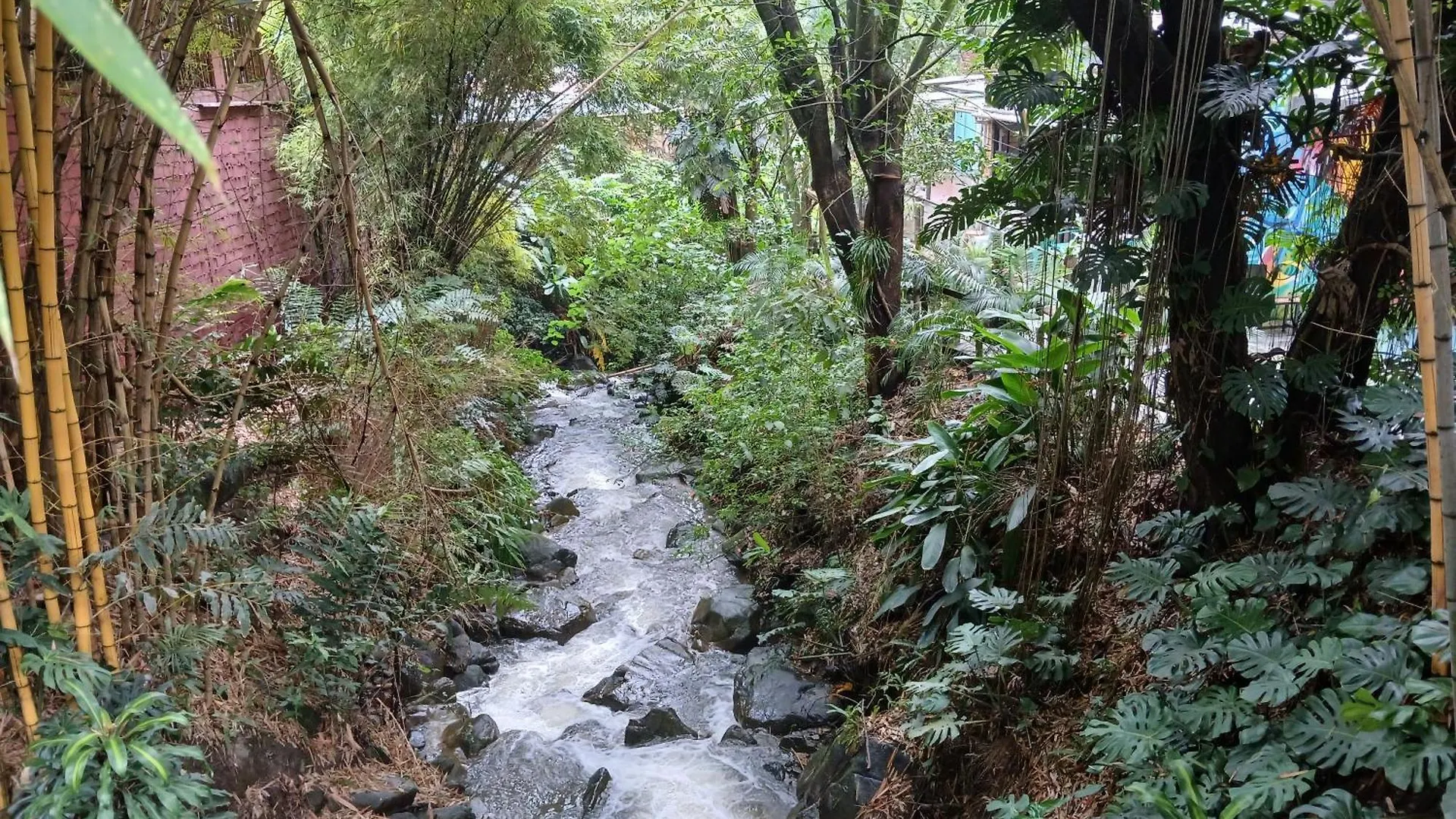 Yolo Hostel Medellín Kolumbien