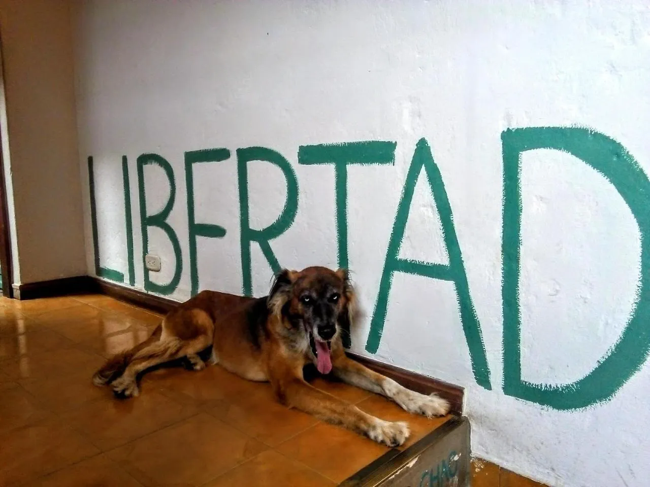 Yolo Hostel Medellín 0*,  Kolumbien