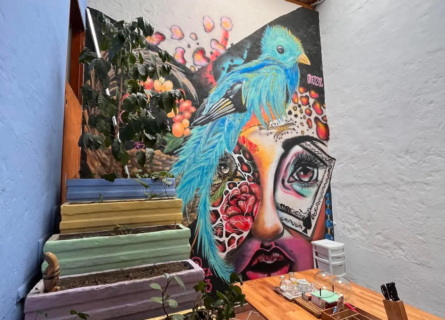 Yolo Hostel Medellín Colômbia