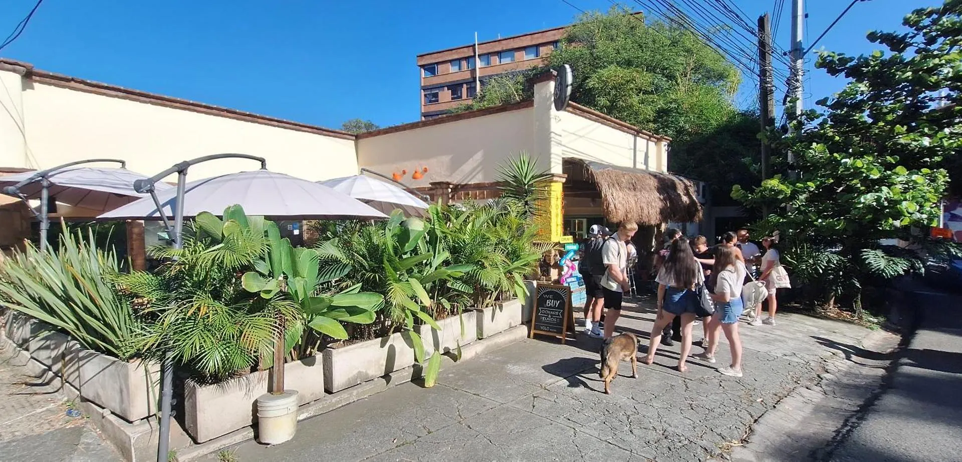 Yolo Hostel Medellín